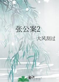 张公案2晋江文学城