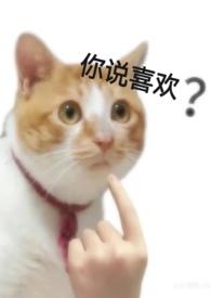 爱不了你