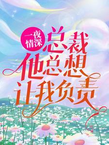 一夜情总裁老公超给力