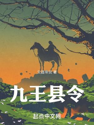 无敌小县令(九)