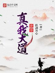 真我大师探索版游戏测评