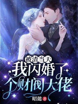 我闪婚了个财阀大佬 昭懿