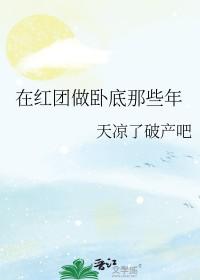 海贼王中红发海贼团