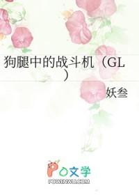 419狗腿中的战斗机GL免费阅读