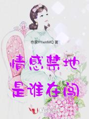 情感的禁区mv女主角