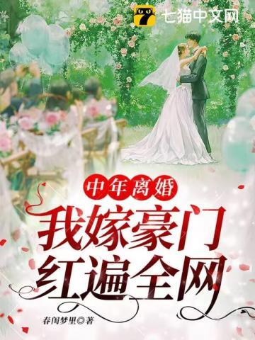 中年离婚的夫妻