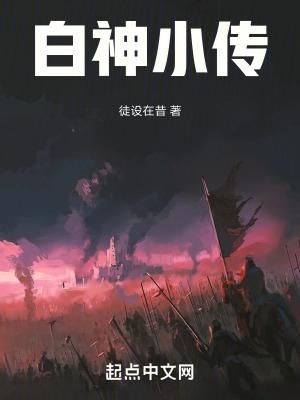 白傻子人物小传