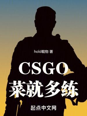 csgo菜就多练在线阅读