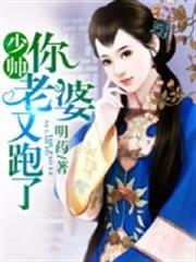 少帅你老婆又跑了漫画免费阅读