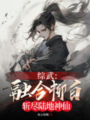 综武融合柳白