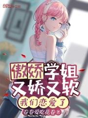 傲娇学长