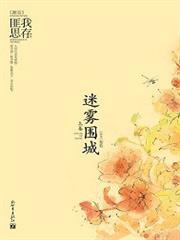 迷雾围城(人生若如初相见原著) 匪我思存