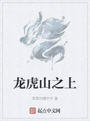 龙虎山上任天师