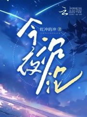 今夜沉沦TXT