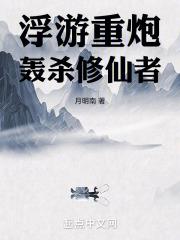 浮游炮什么意思