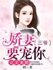 完美宠婚娇妻三爷要宠你全文