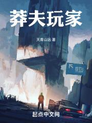 莽夫玩家无错版