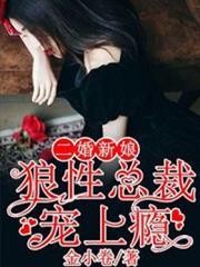 宠妻无度总裁的二婚新娘