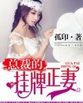 挂牌夫妻是什么意思