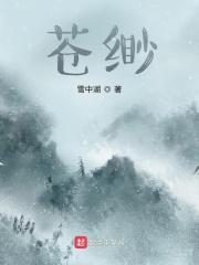 苍缈 雪中湖